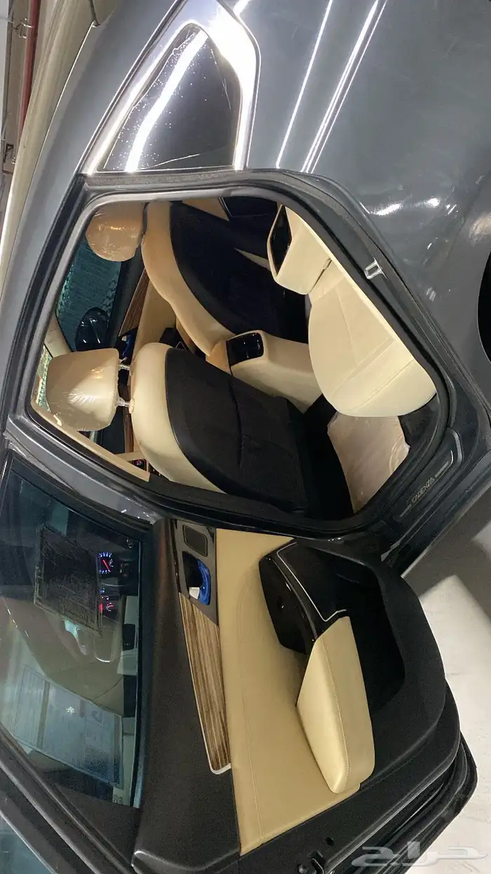 كادينزا 2017 17