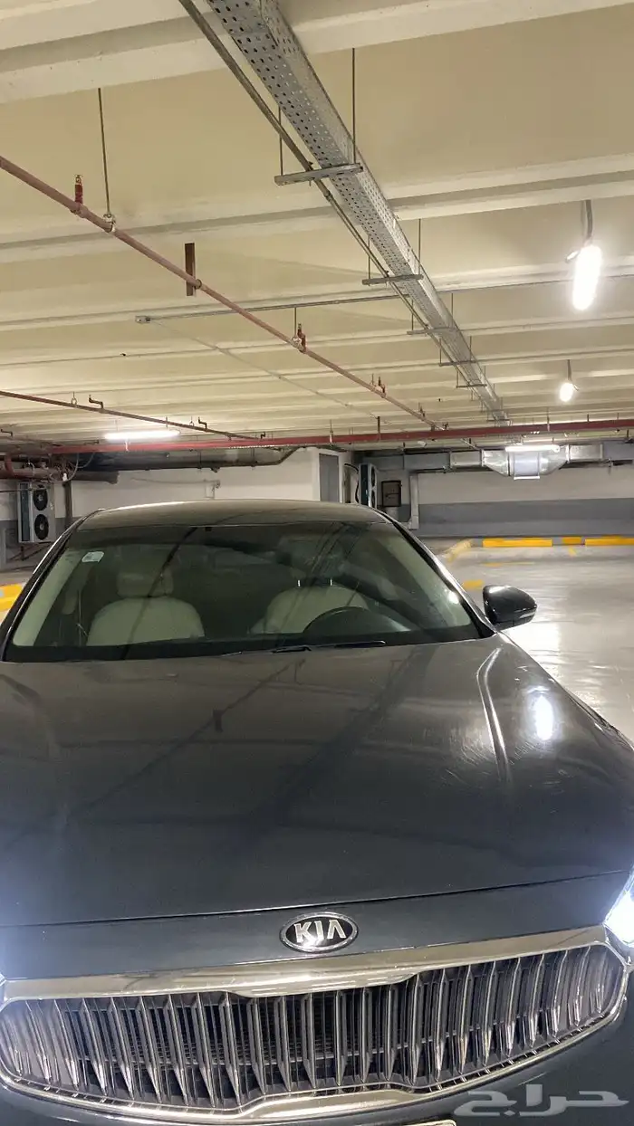 كادينزا 2017 6