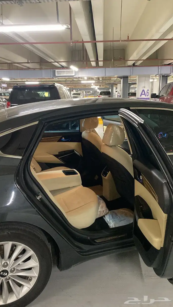 كادينزا 2017 13