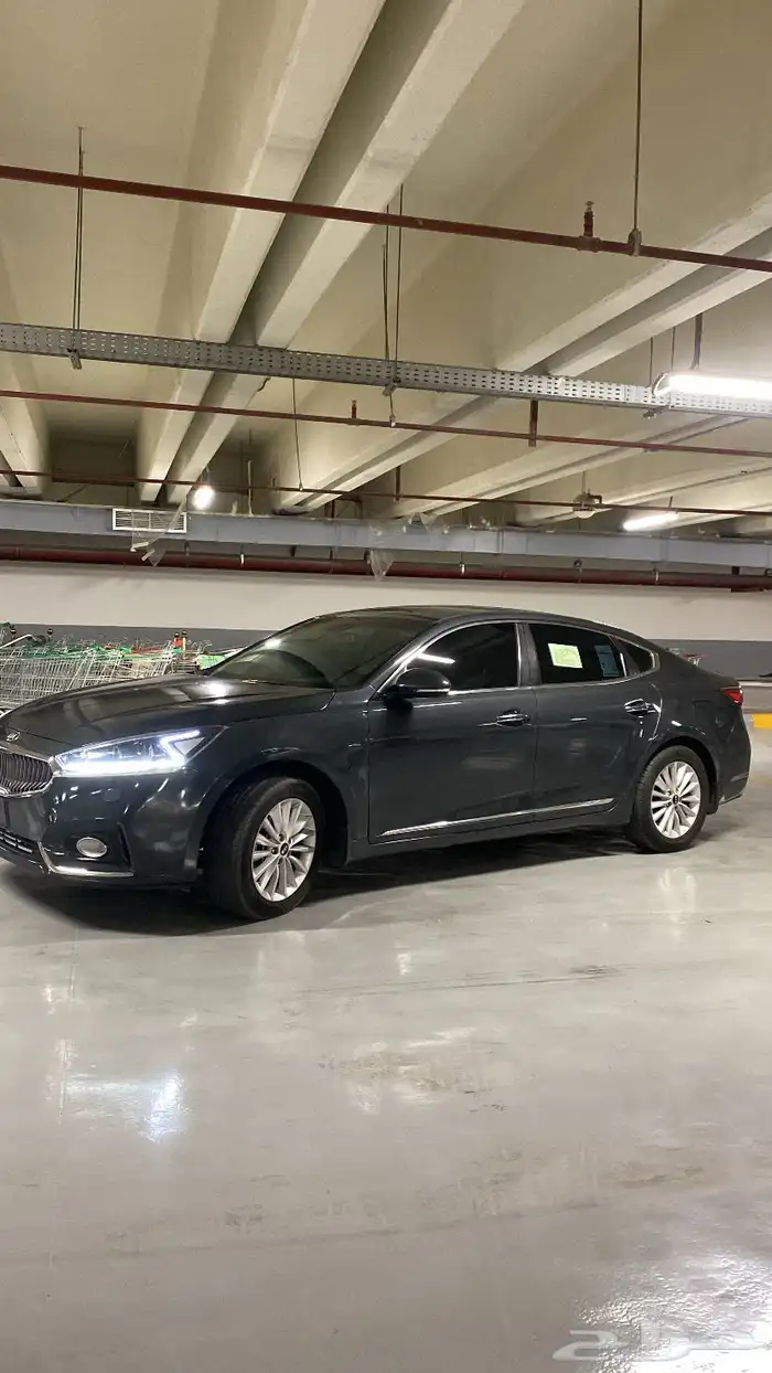 كادينزا 2017 7