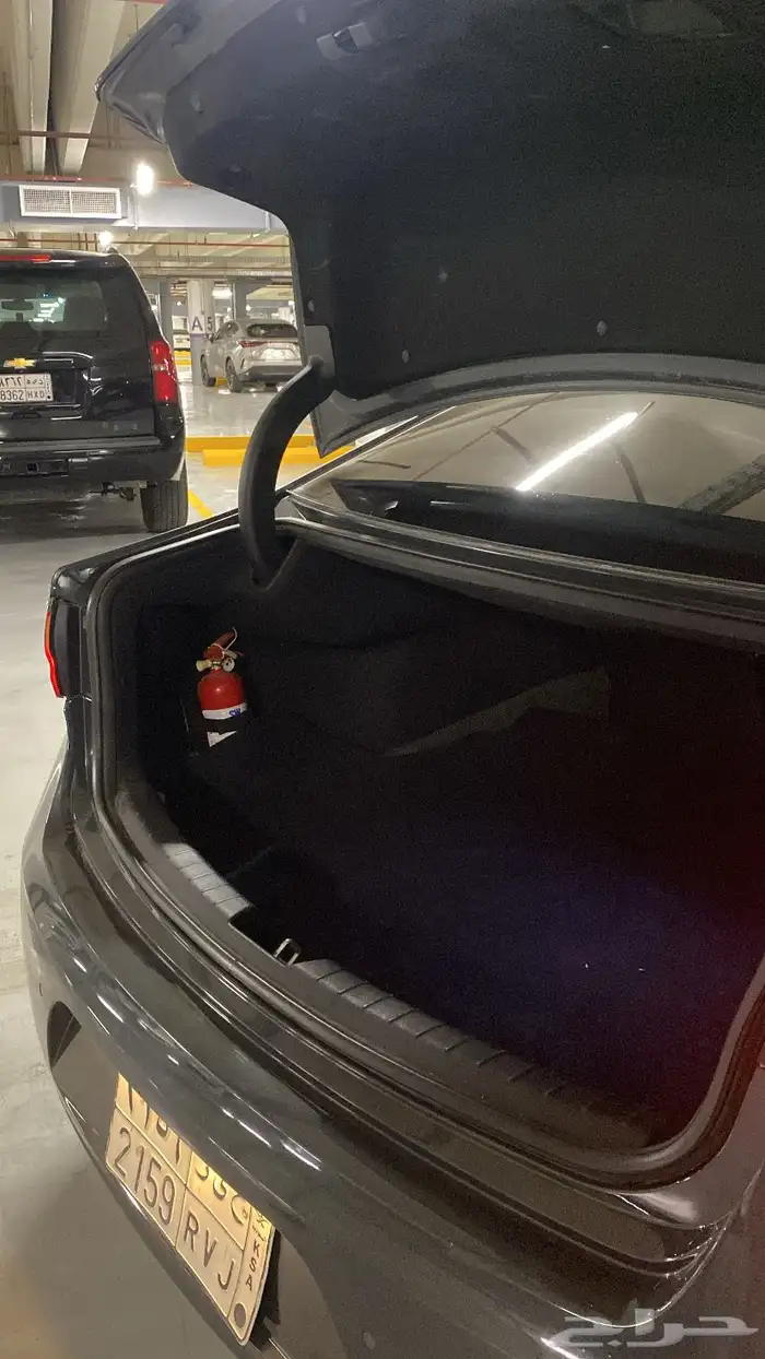 كادينزا 2017 15