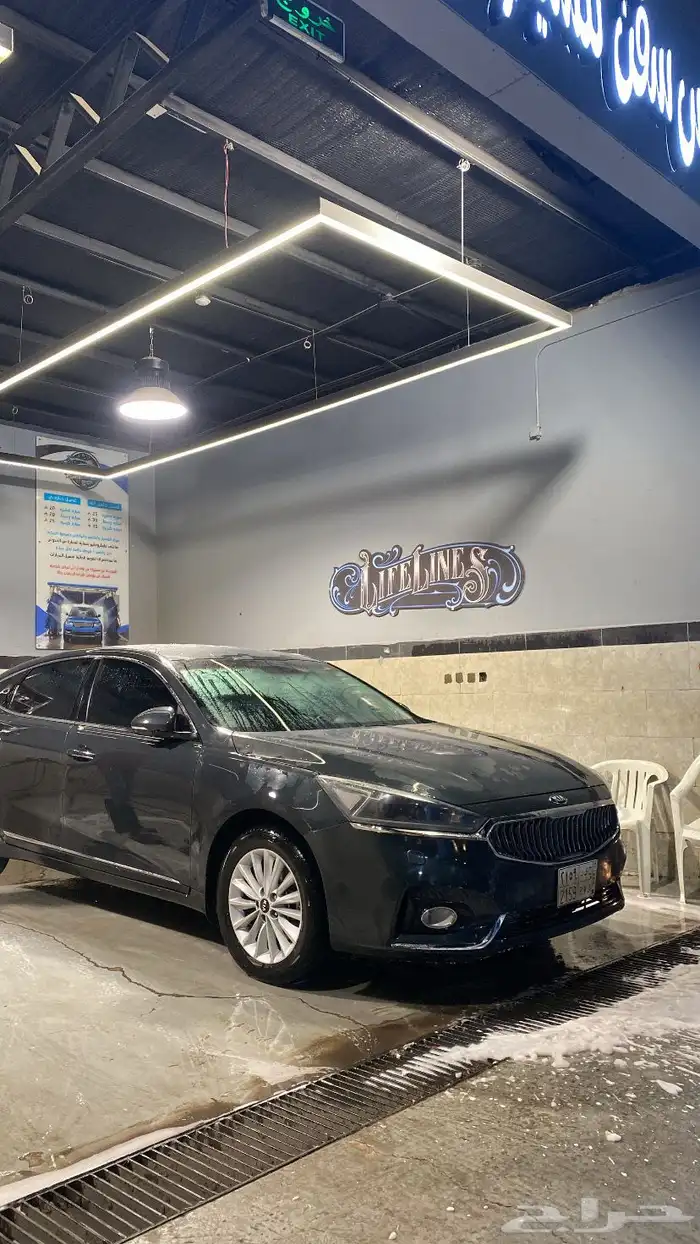 كادينزا 2017 0