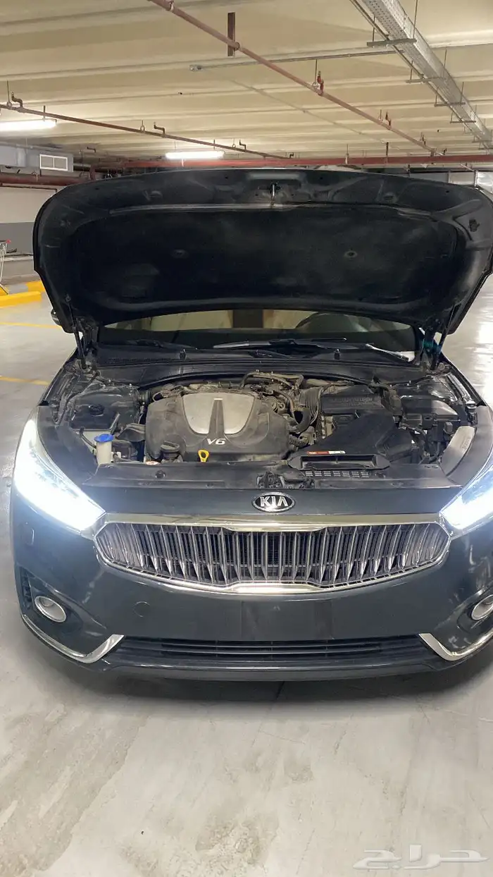 كادينزا 2017 19