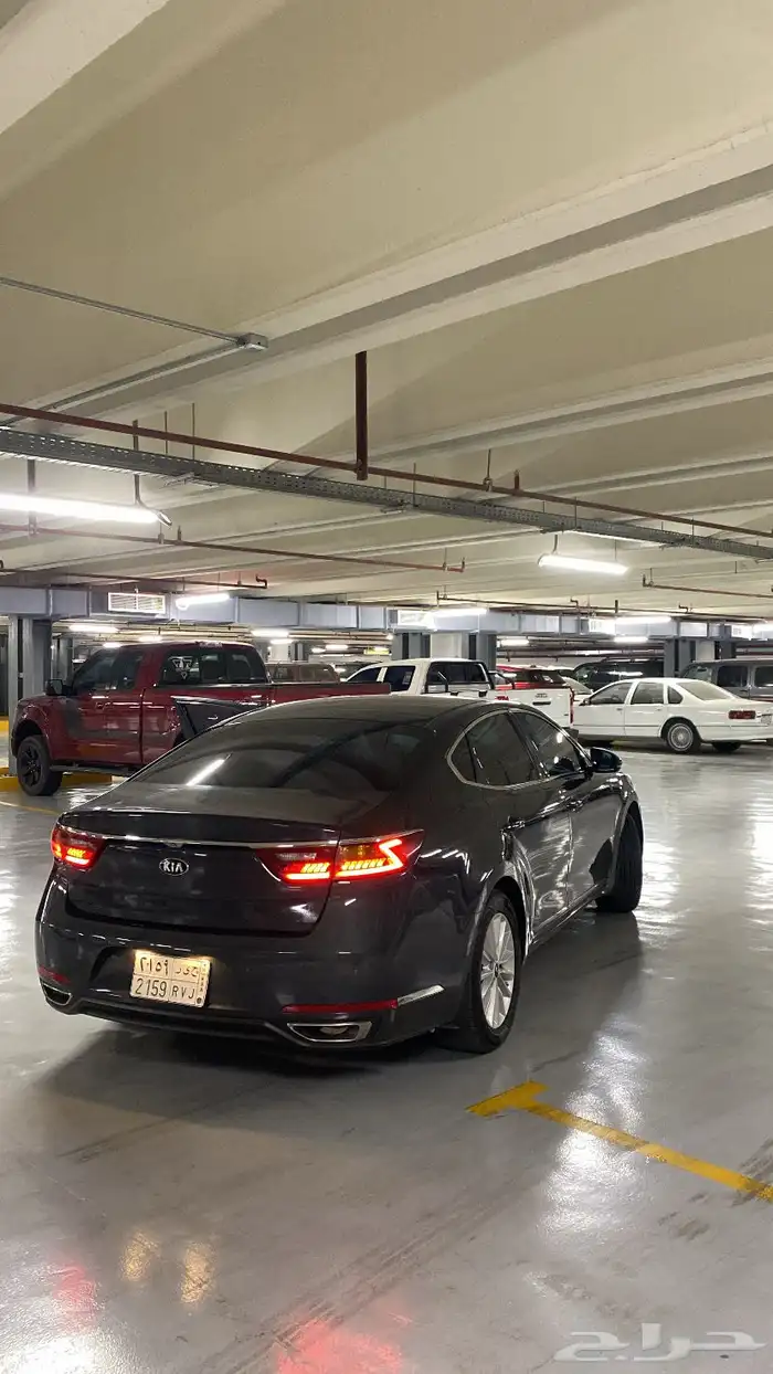 كادينزا 2017 11