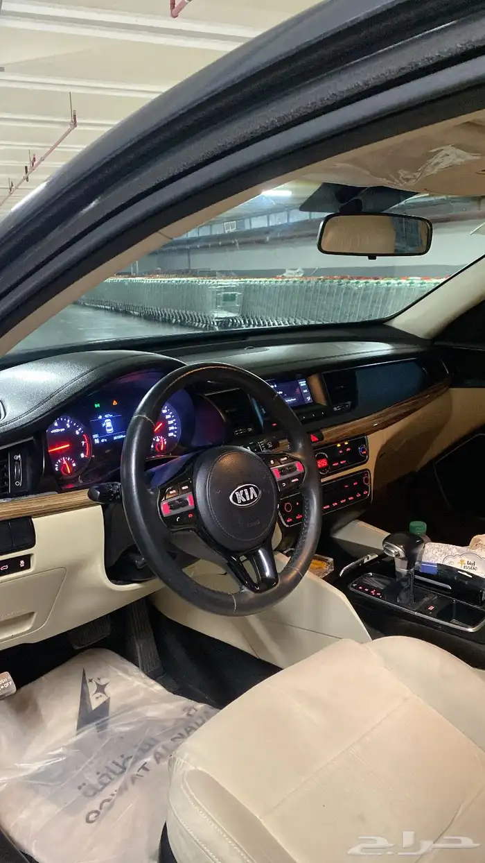 كادينزا 2017 9