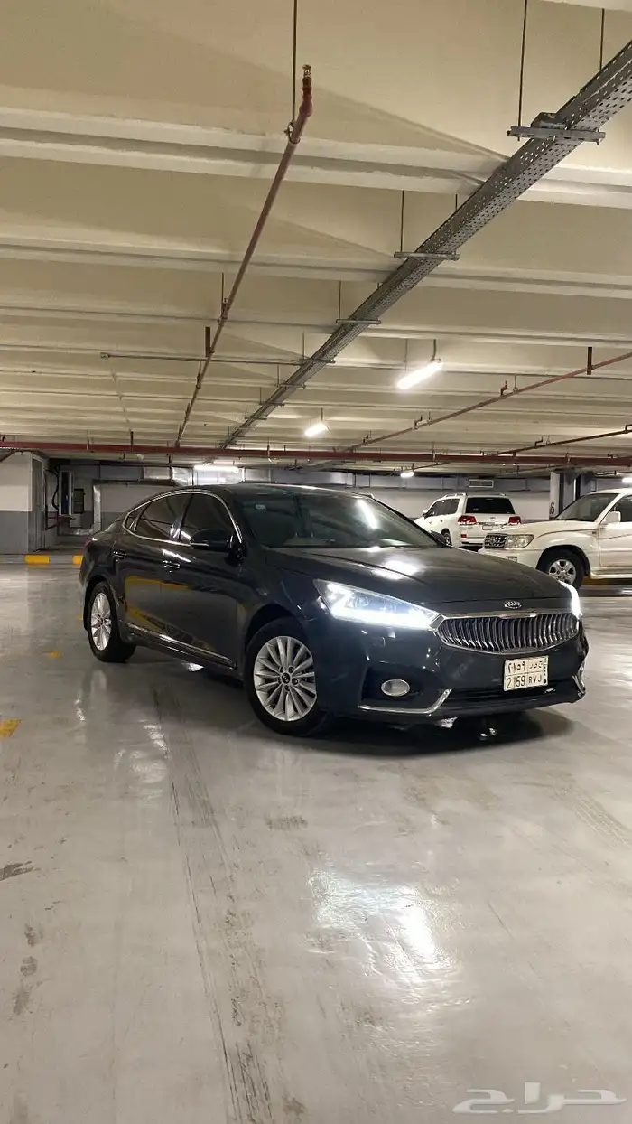 كادينزا 2017 3