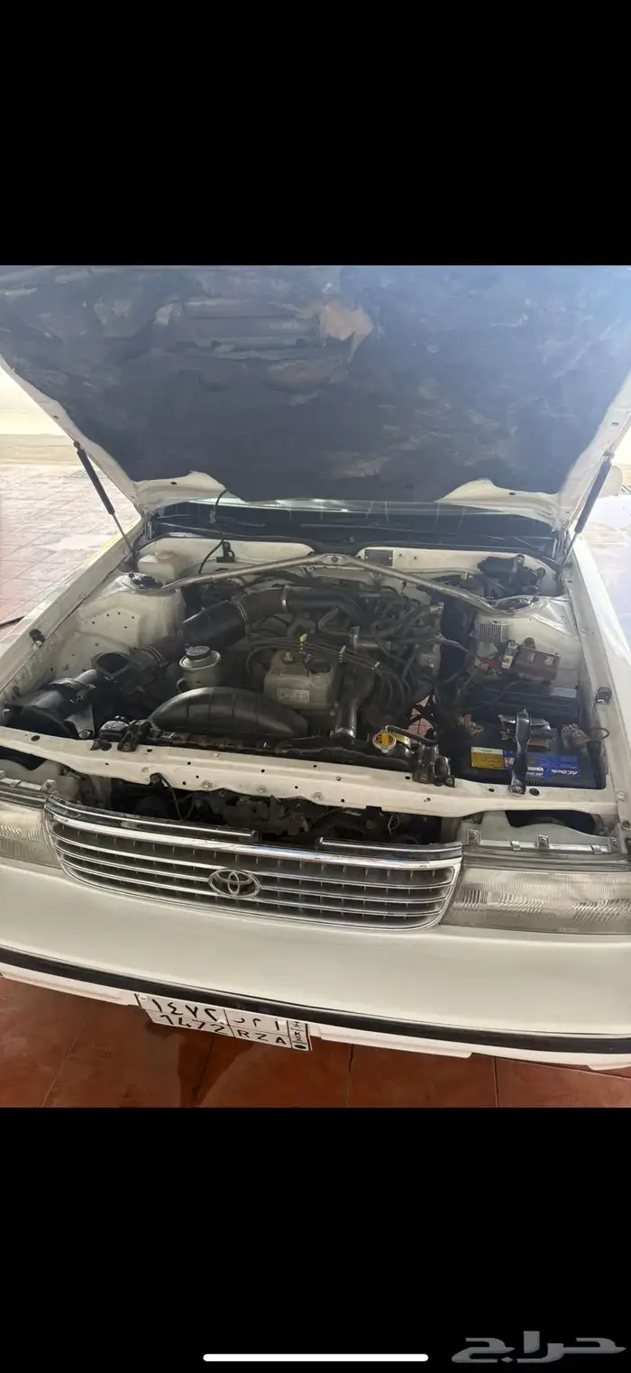 كرسيداء 6 سرندل 2