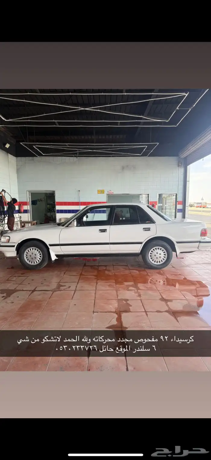 كرسيداء 6 سرندل 1