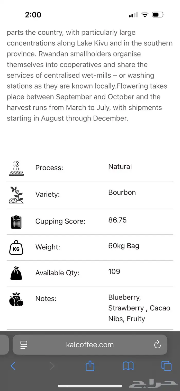 بن اثيوبي قوجي وبن راوندا كيبوكو 2