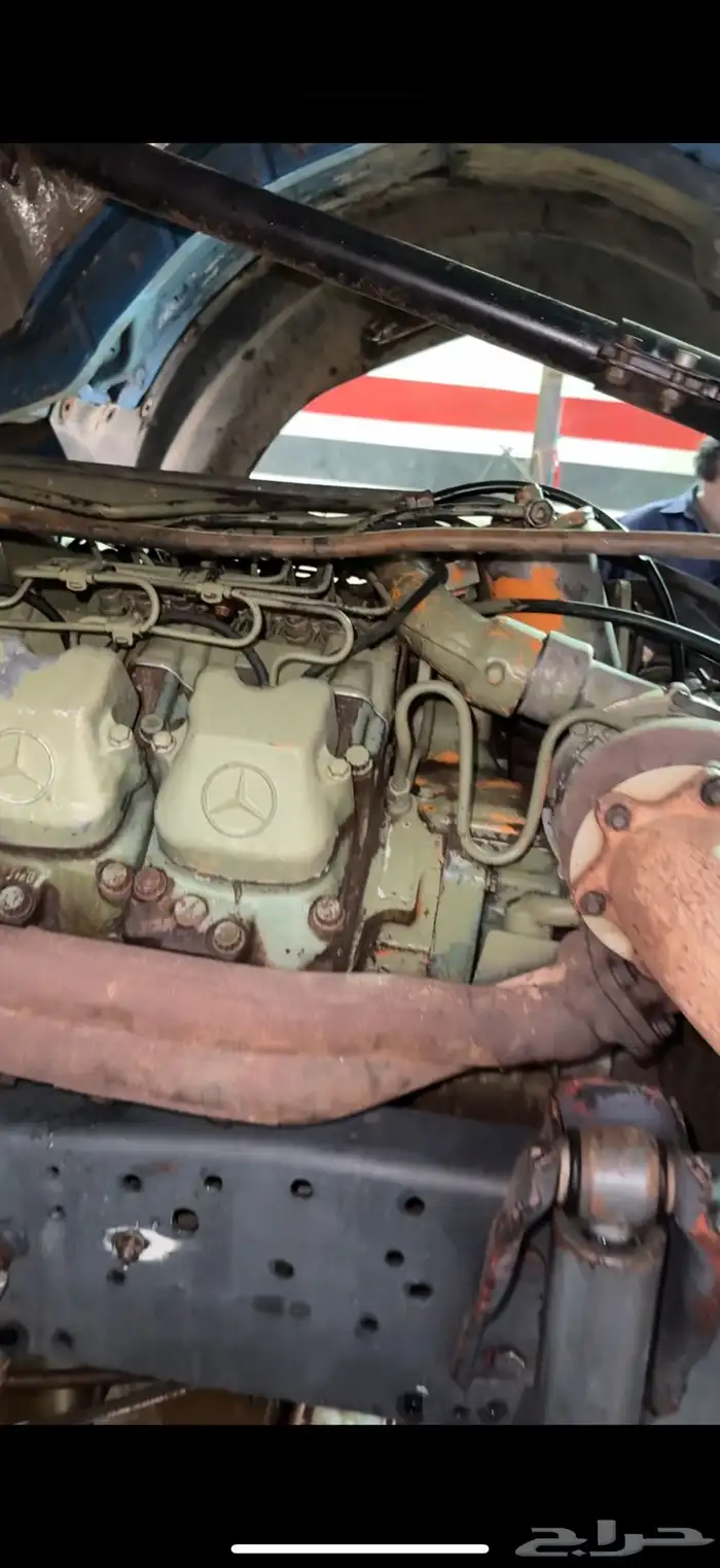 وايت البي 14 طن 3