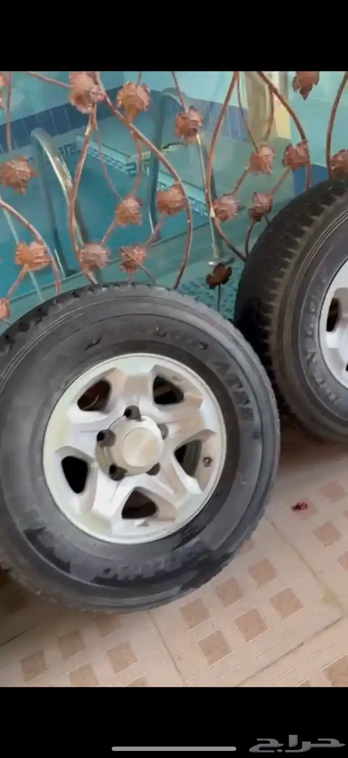 جنوط ربع شاص .. 0