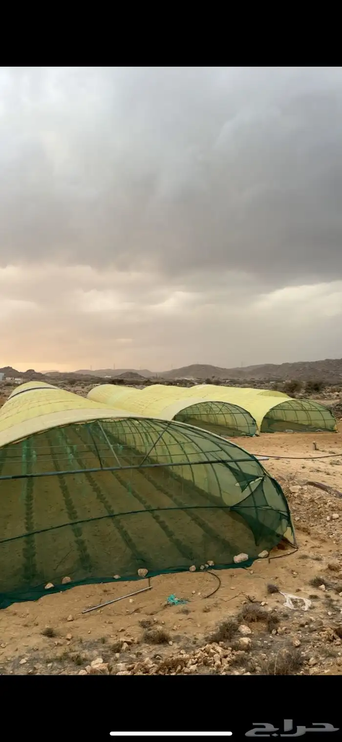 بيوت محميه 0