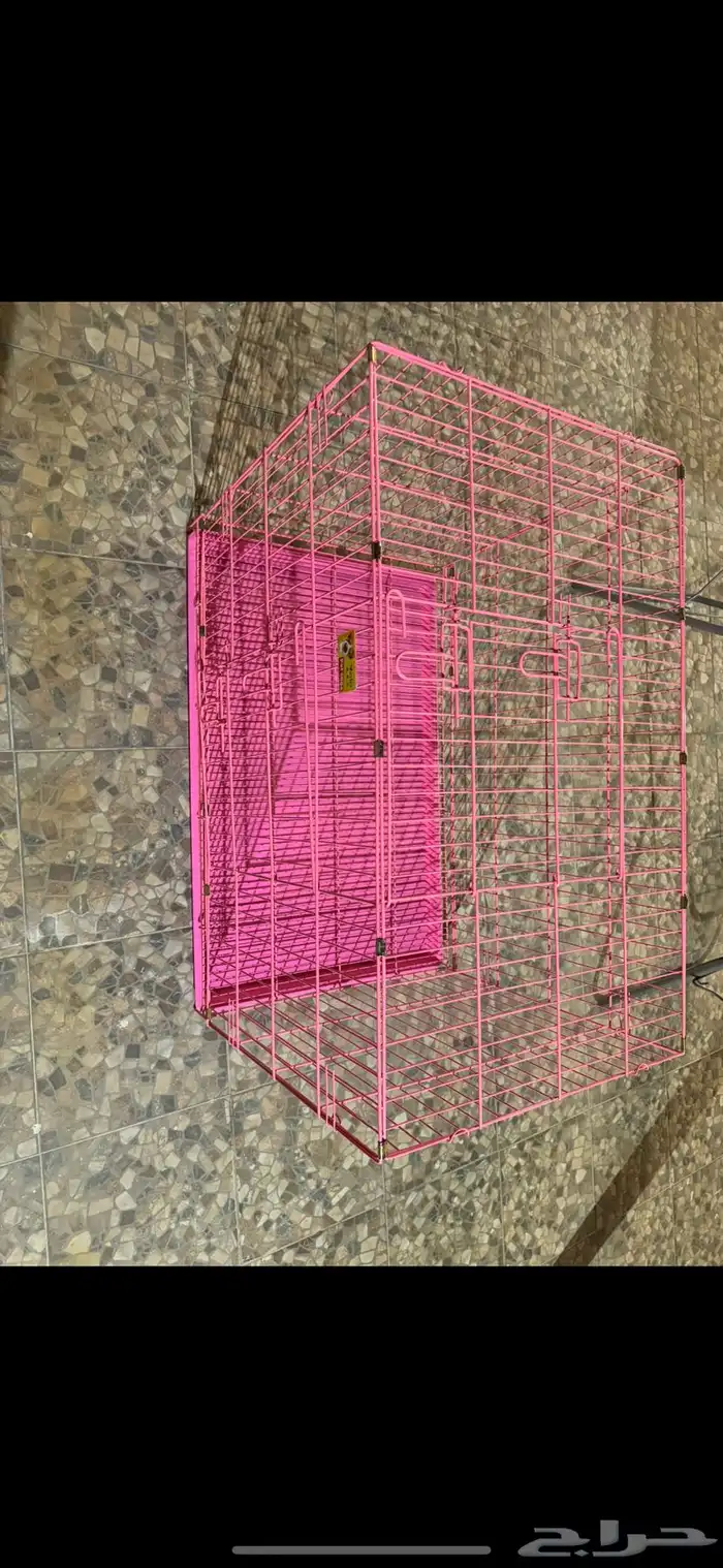 مسلتزمات حيوانات 0