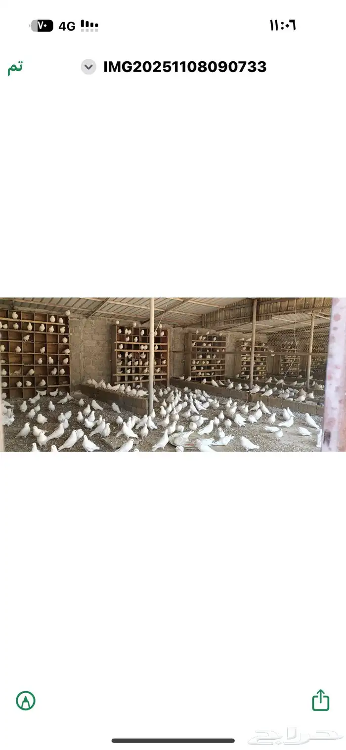 حمام فرنسي للبيع 0