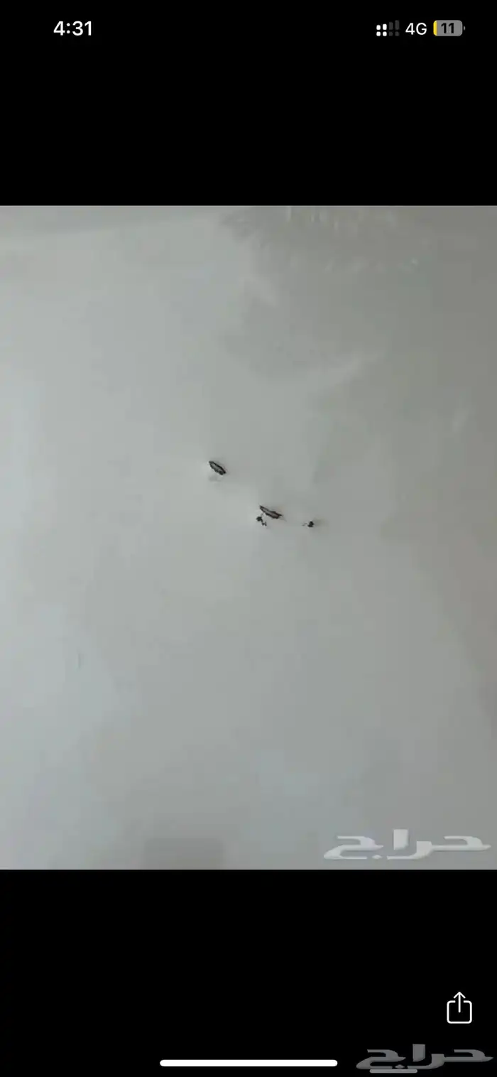 لاندكروزر GXR فطيمي 2015 سبير علاق 25