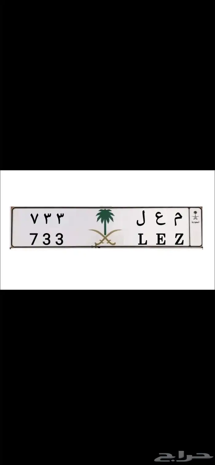 لوحة معلا 733 1