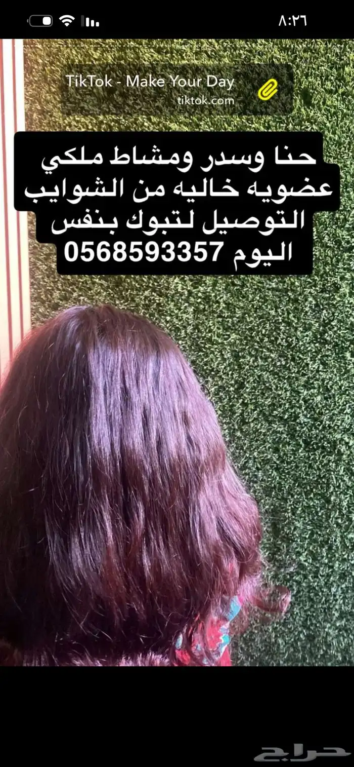 حنا وسدر ومشاط عضوي خاليه من الشوايب الطلب عبر الواتس اب 0