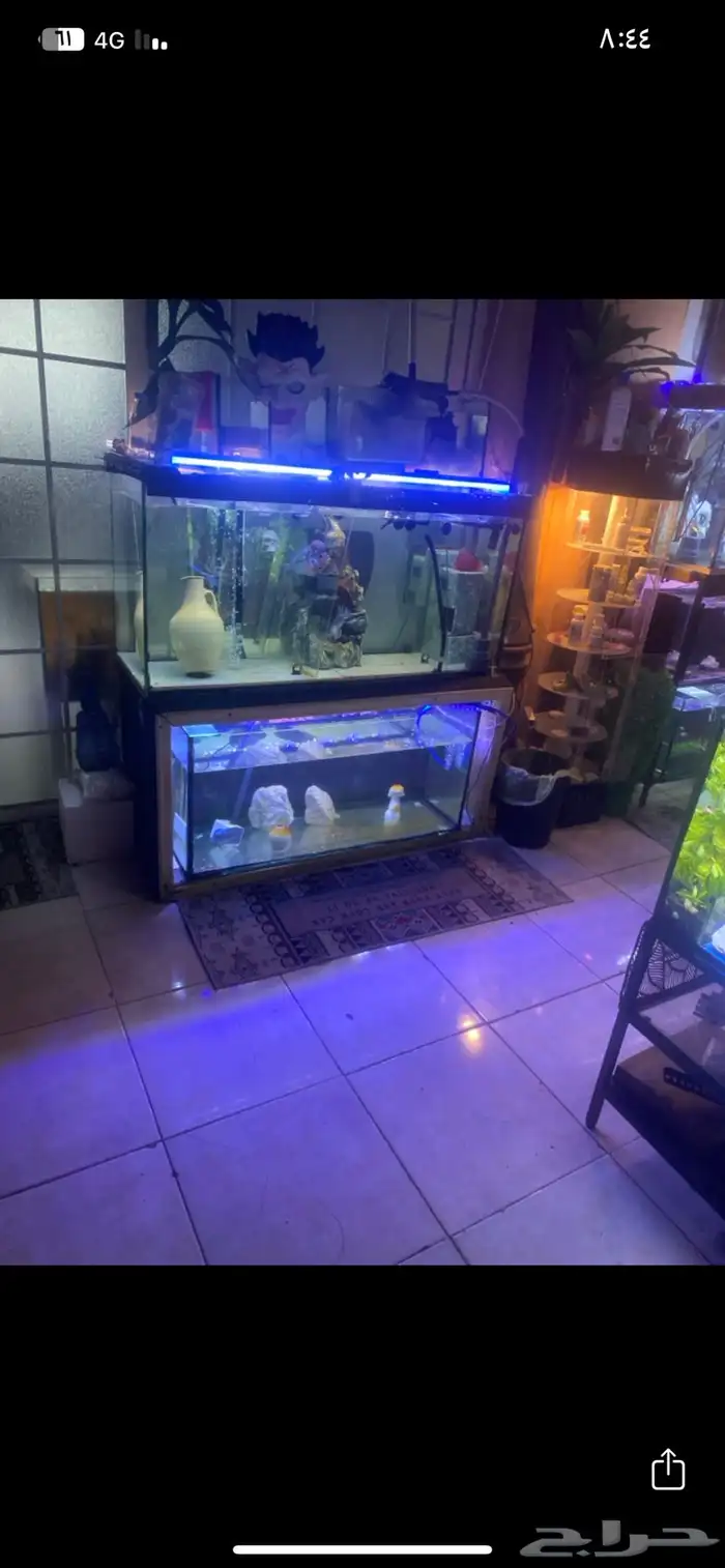 تفصيل احواض سمك وزواحف او صيانه الحوض 10