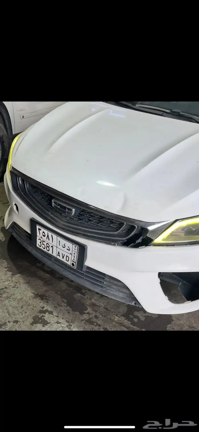 جيلي بينراي 2021 1