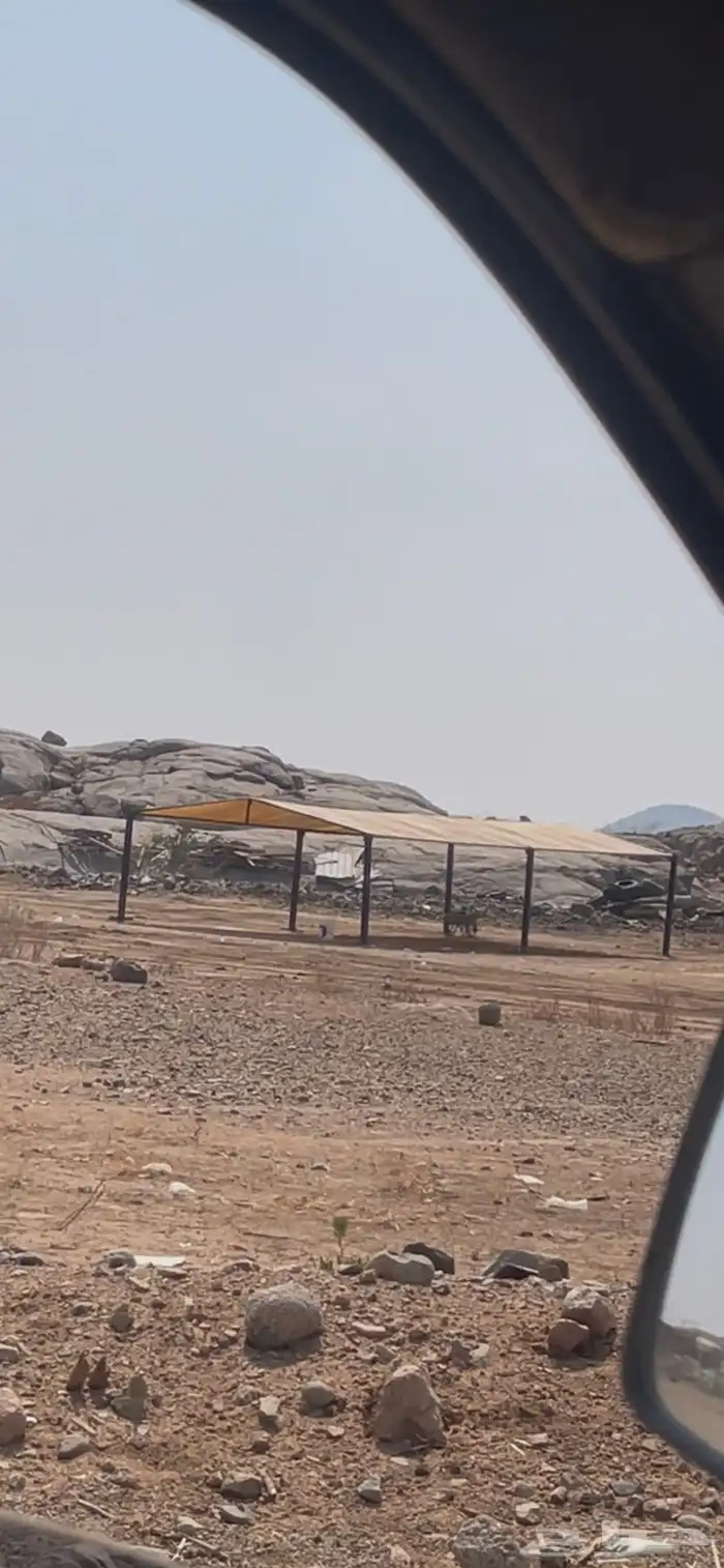 مظلة غنم و ابل شكل هرمي 2