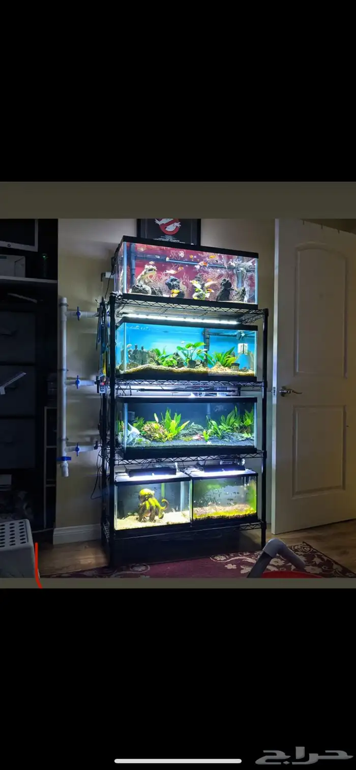 تفصيل احواض سمك وزواحف او صيانه الحوض 7