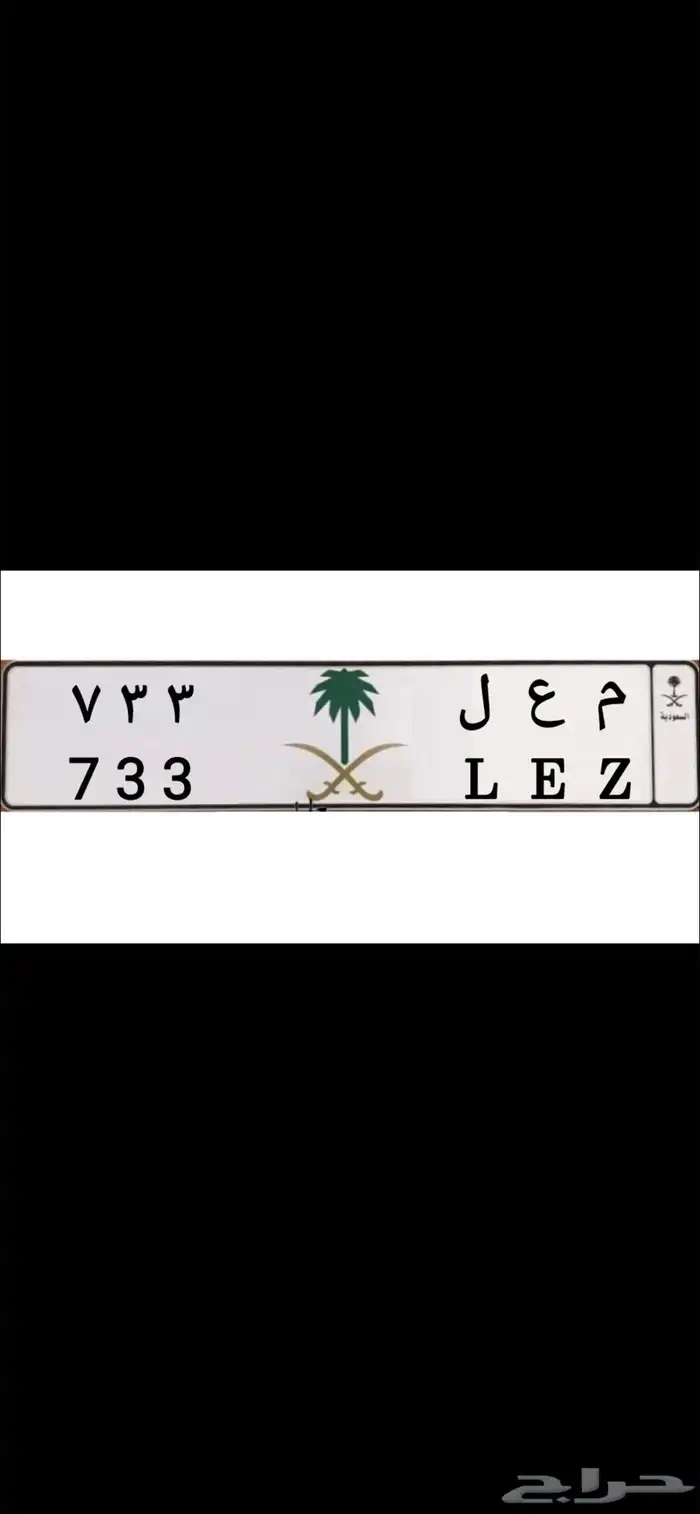 لوحة معلا 733 0