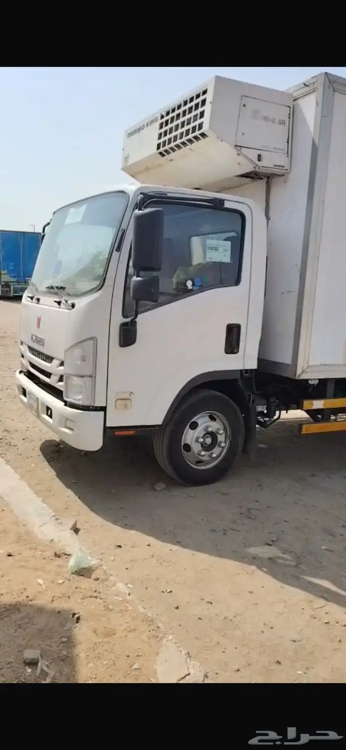 دينا ايسوزو ثلاجه 2023 12