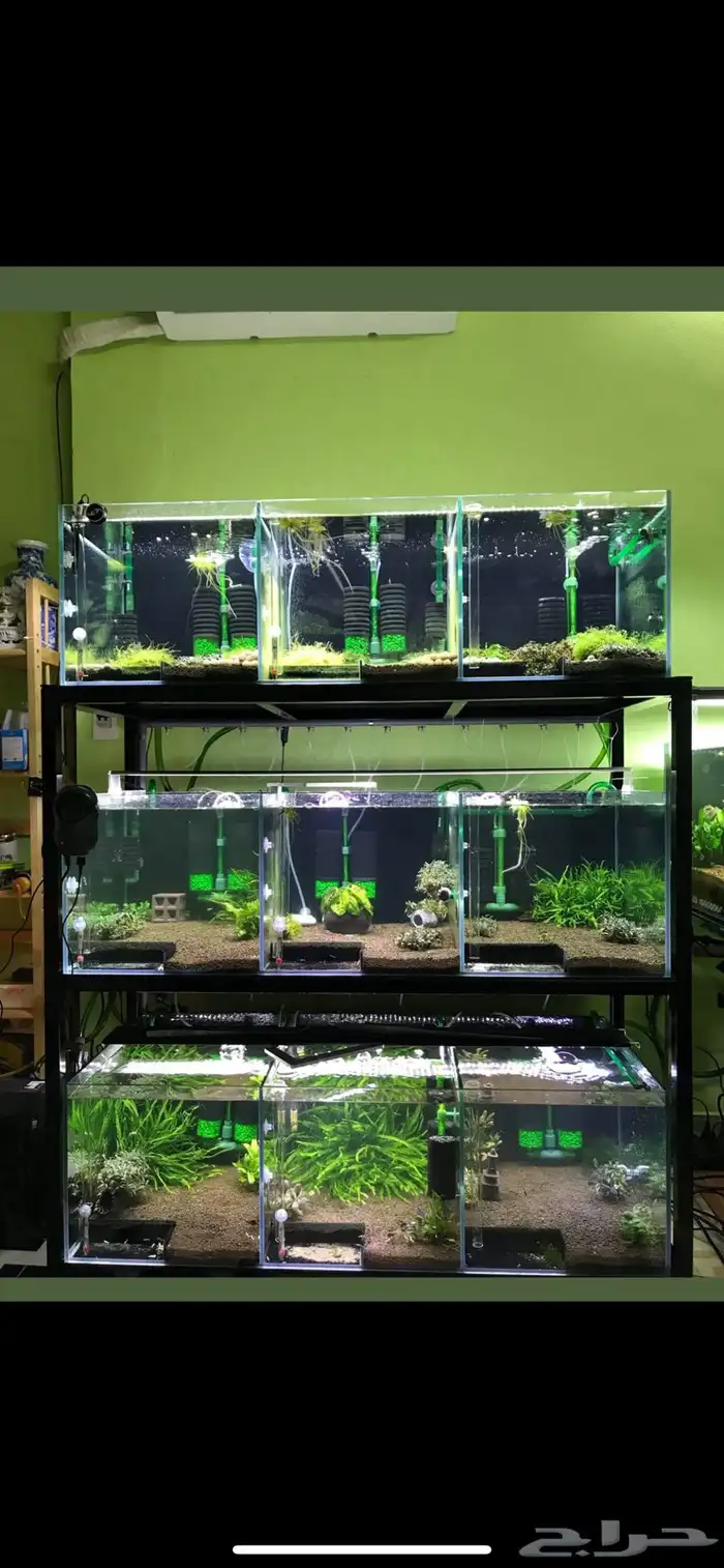تفصيل احواض سمك وزواحف او صيانه الحوض 6