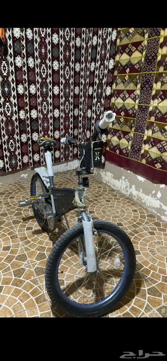 كوبرا آخو الجديد 1