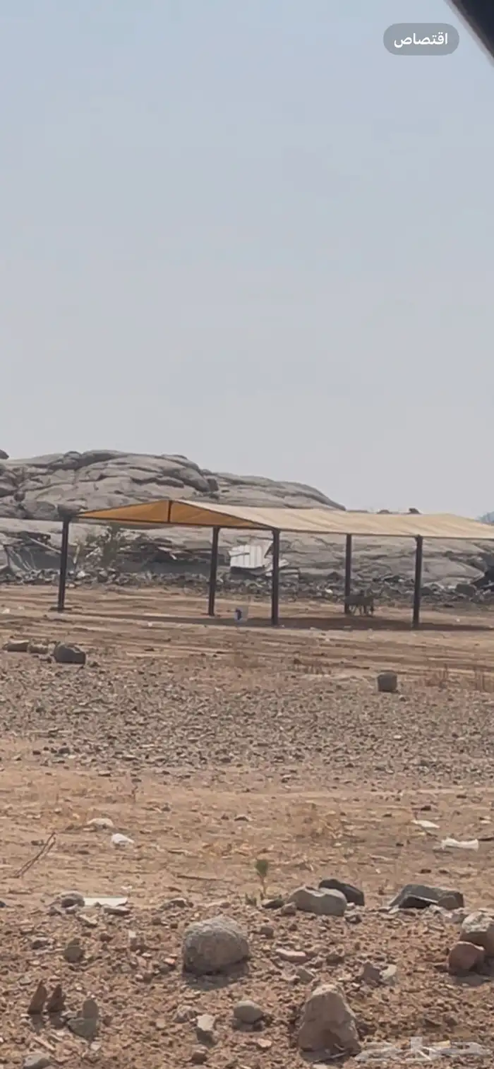 مظلة غنم و ابل شكل هرمي 1