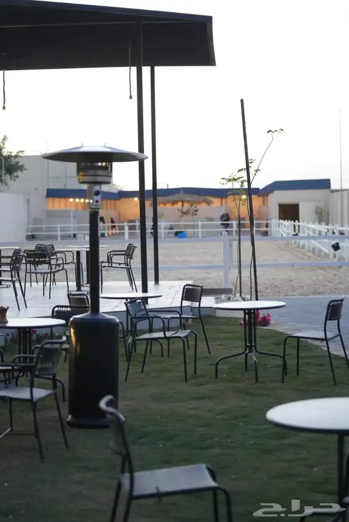 ايواء و تدريب ركوب الخيل العمارية 0