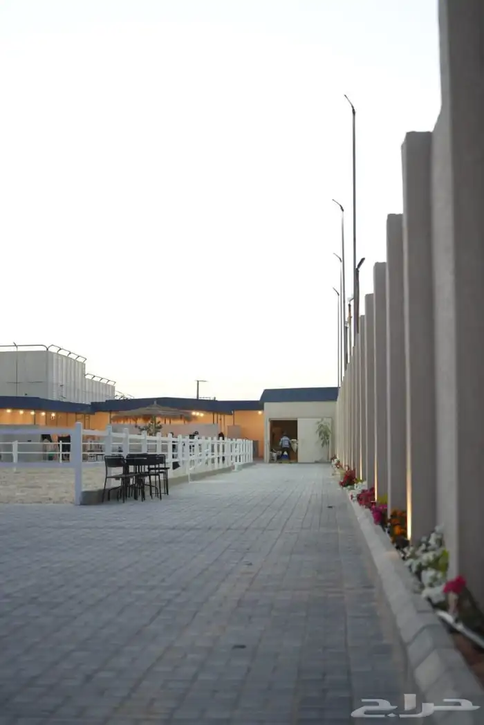 ايواء و تدريب ركوب الخيل العمارية 2