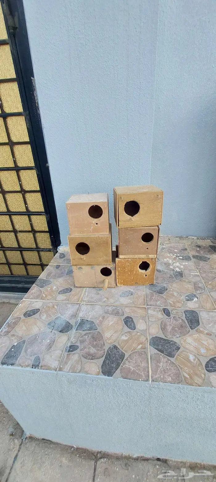 بياضات واقفاص طيور 1