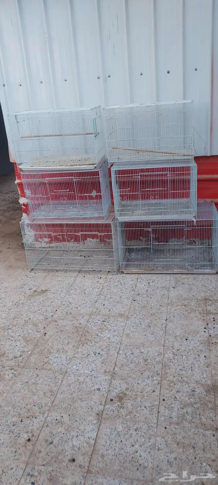 بياضات واقفاص طيور 4