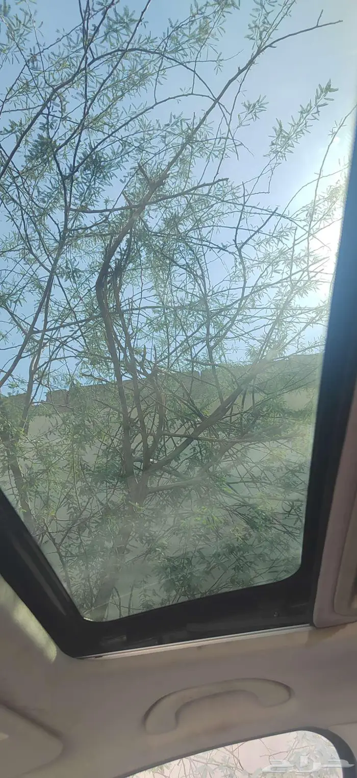 جيب بيستون 2022 فاو 8