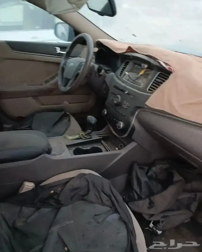 كادينزا 2012 2