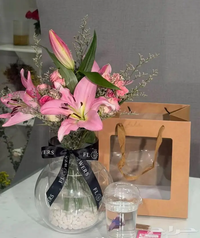 اسماك الفايتر للبيع 2