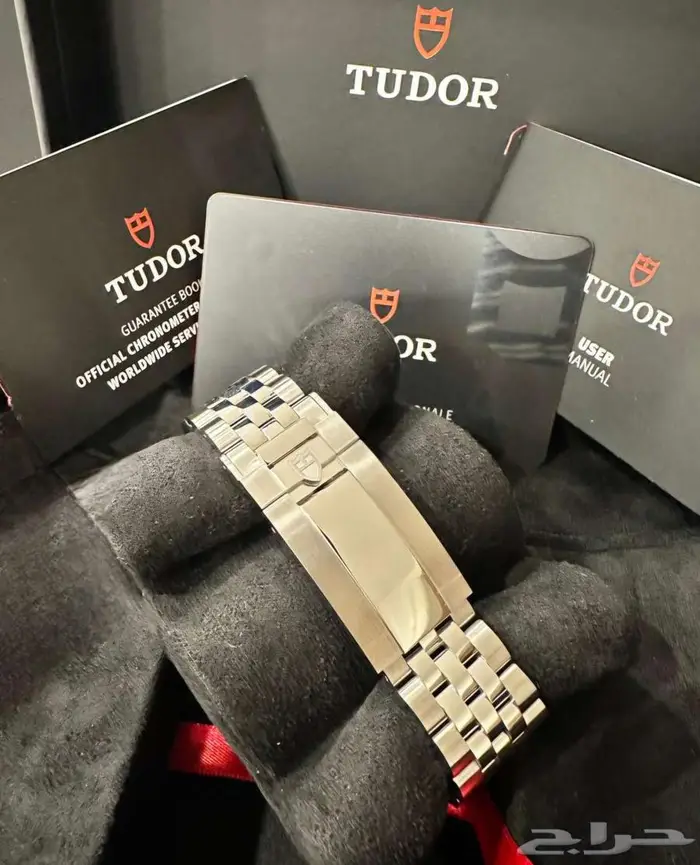 تيودور فلامينغو - Tudor Flamingo 2