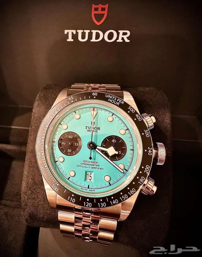 تيودور فلامينغو - Tudor Flamingo 1