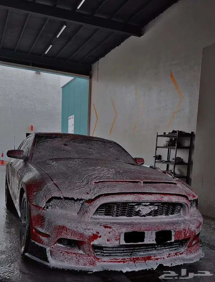 موستنج 2014 ممشى 150 4