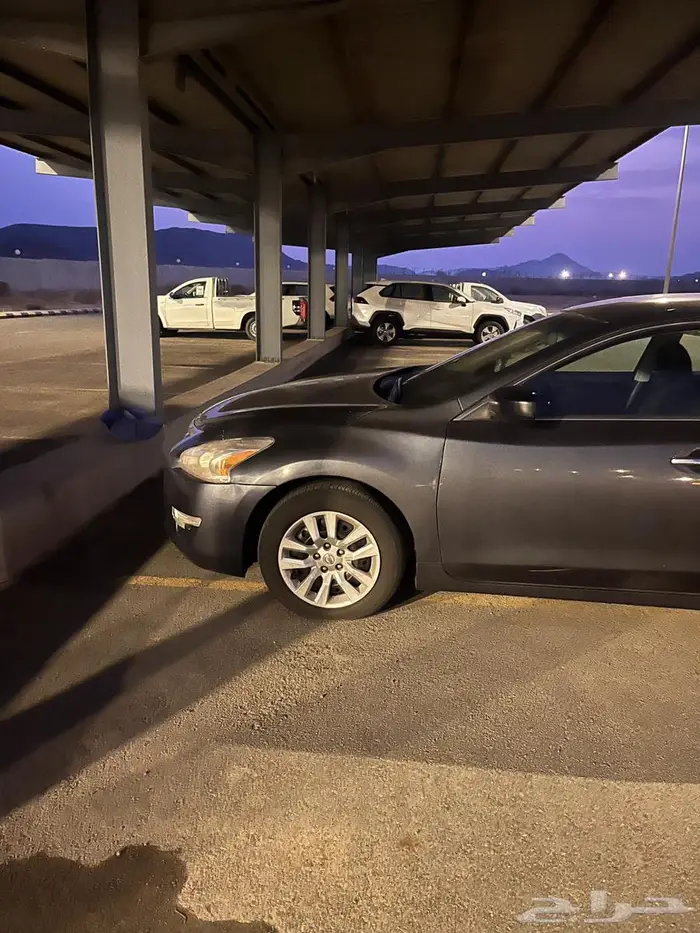 نيسان التيما 2013 19