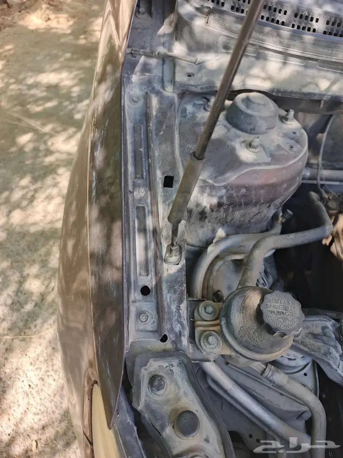 كيا سيراتو 2011 19