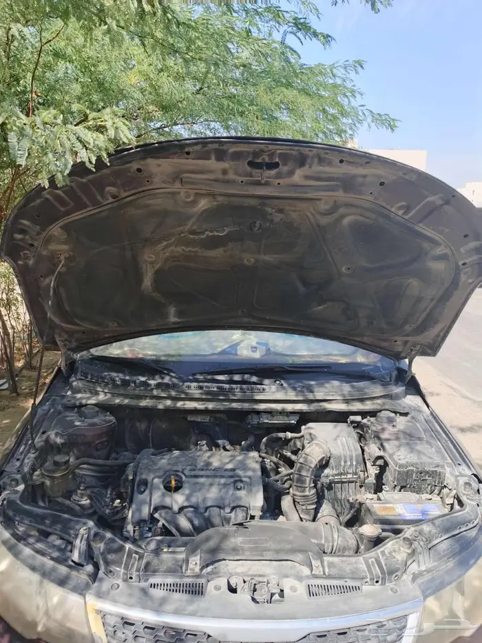 كيا سيراتو 2011 13