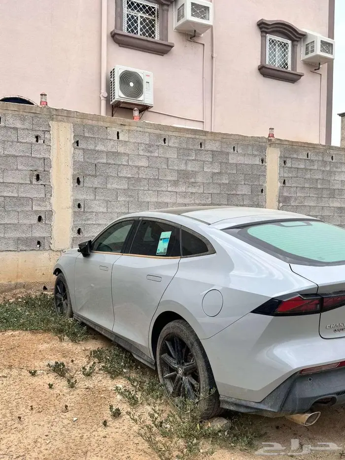 شانجان يوني في 1