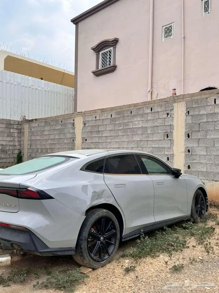 شانجان يوني في 3