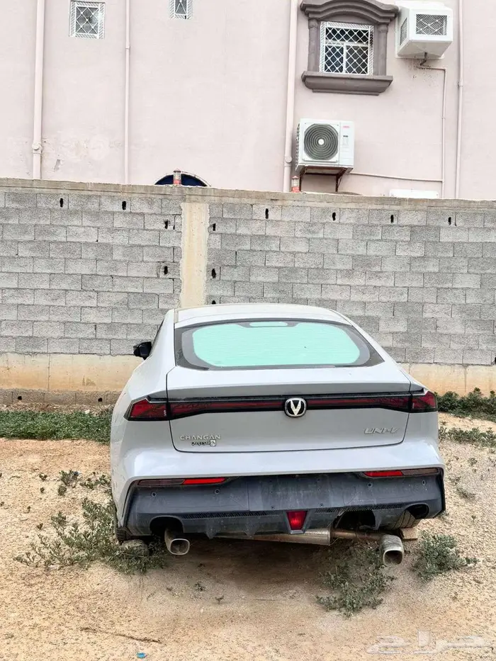 شانجان يوني في 2