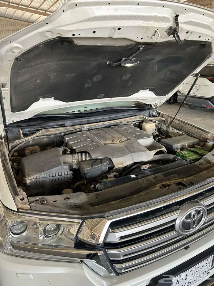 جكسار رقم 3 2018 11