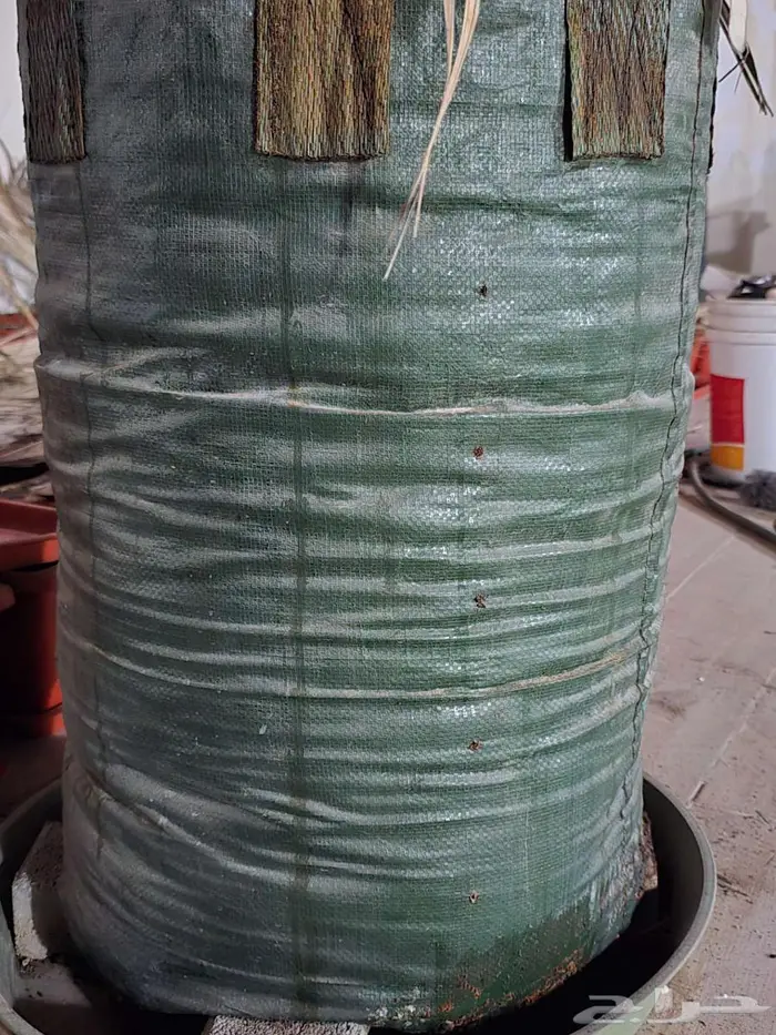 مراكن زراعيه 1