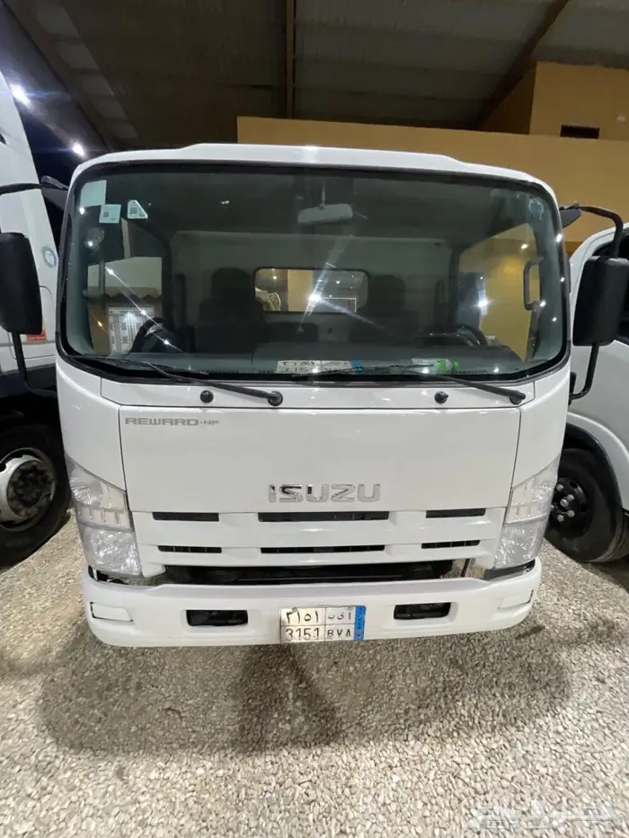 دينا ايسوزو 0