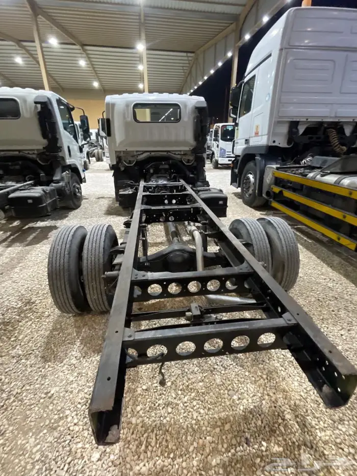 دينا ايسوزو 8